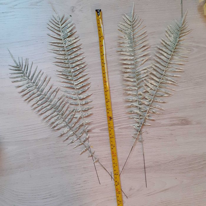 Paprotka bielona gałązka dodatek do stroika