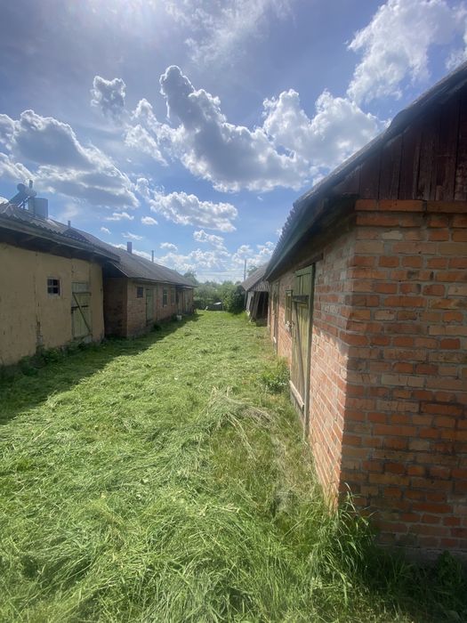 Продаж Стадниця 49 соток