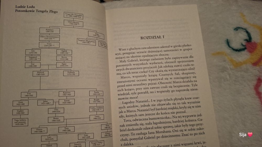 Saga o Ludziach Lodu 20 Tomów jak nowe