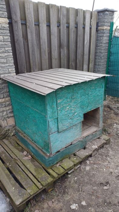 Буда собача 1*1м