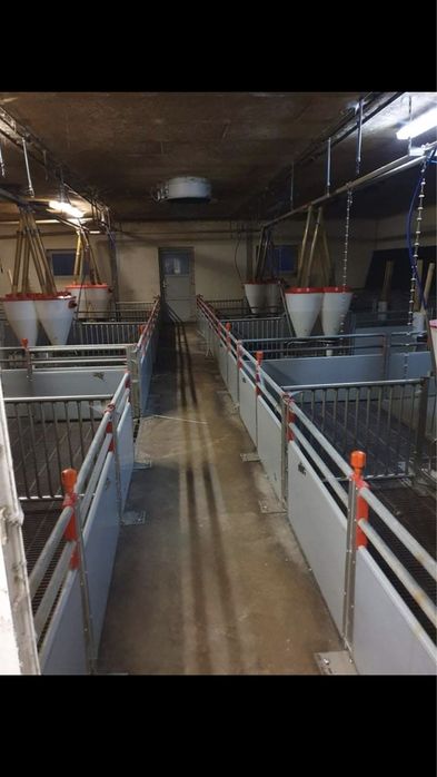 Wygrodzenia Tucznik- warchlak