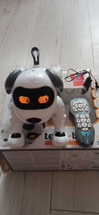 Pies robot na pilota tech bot