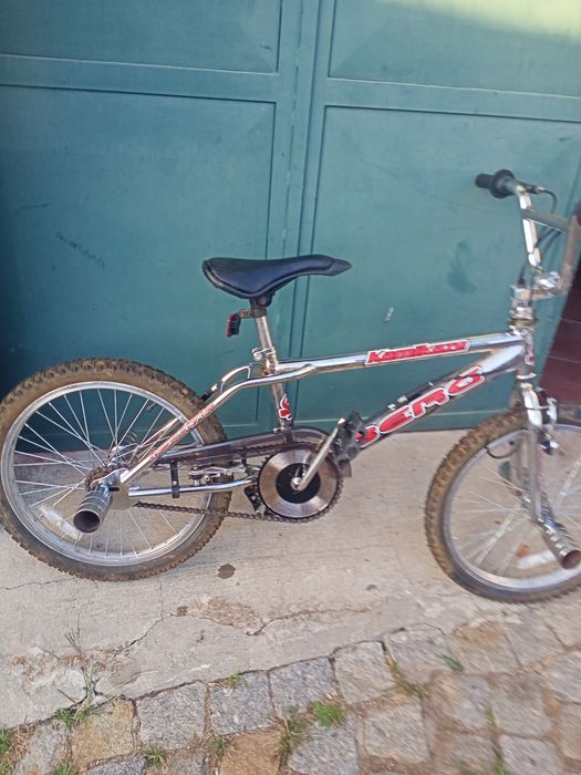 Bicicleta Berg Camicaza com rotor