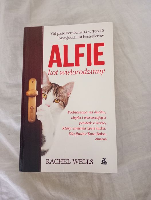 Alfie kot wielorodzinny