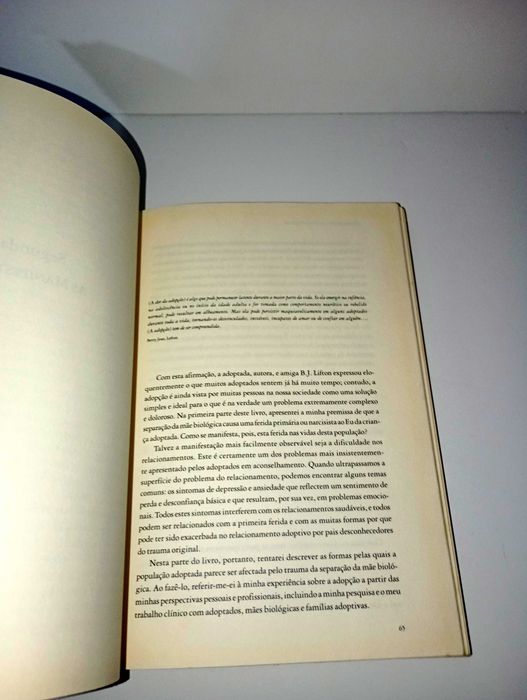 Compreender a criança Adoptada