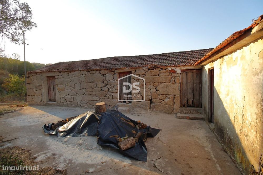Quinta  Venda em Santiago de Piães,Cinfães