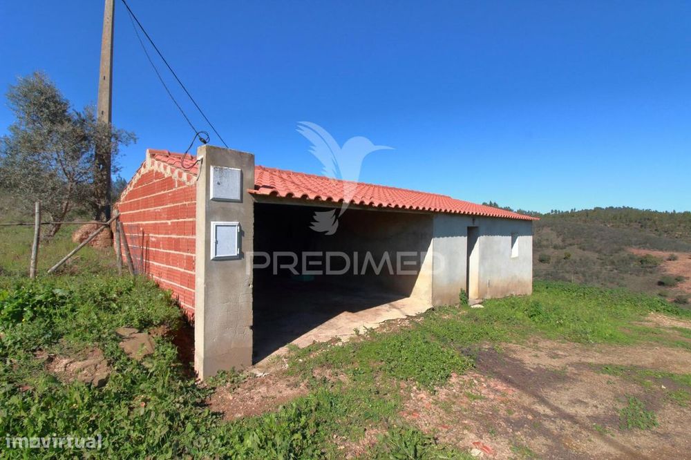 Quinta em São Martinho das Amoreiras.