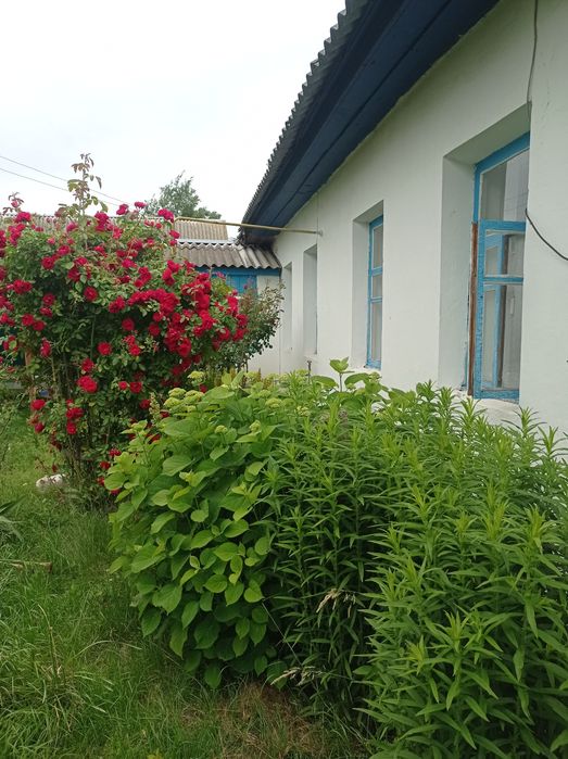 Будинок по трасі Чернігів-Київ в селі Серединка.ЗРУЧНОСТІ. Зем. 2га.