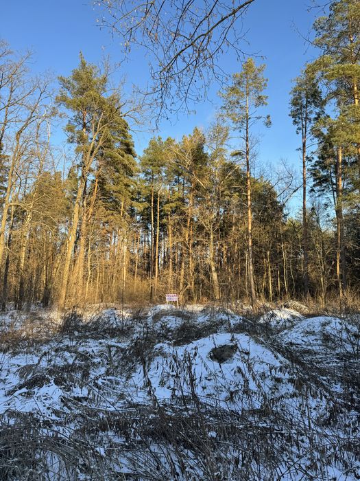 Продам ділянку с виходом до Заповідного Лісу