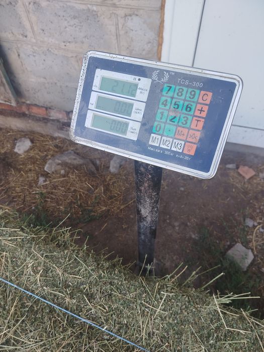 Продам сіно люцерна