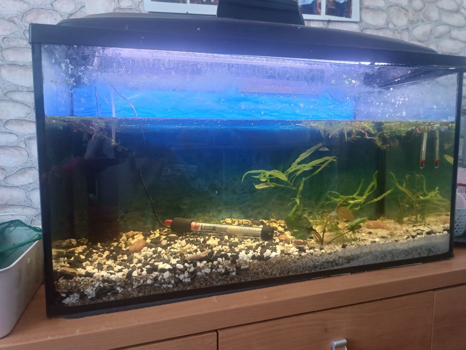 Akwarium sprzedam
