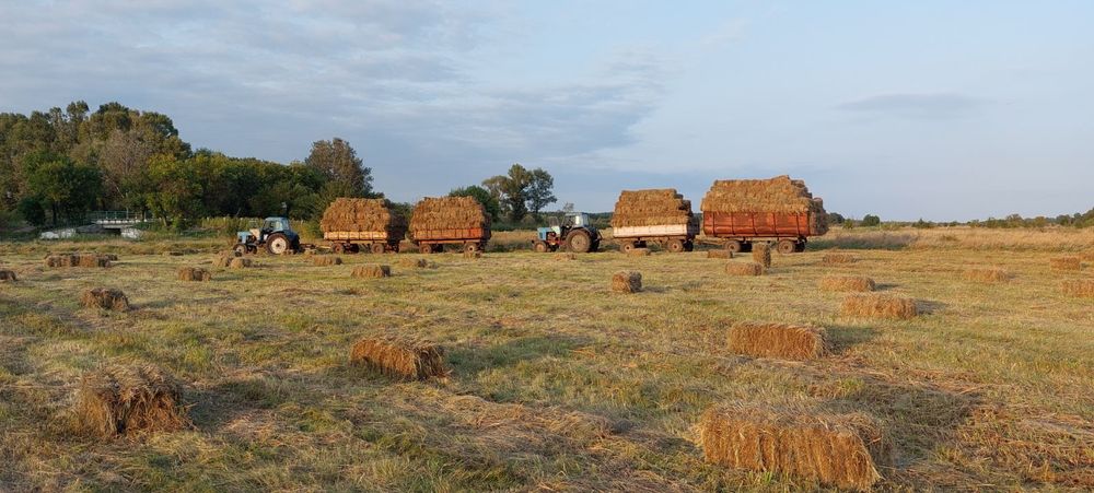 Сіно в тюках, різнотрав'я, лугове сіно