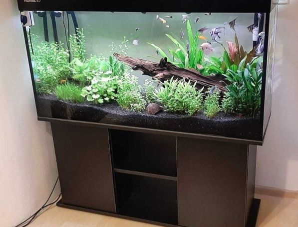 Zestaw akwariowy 150x50x60 plus pokrywa i szafka