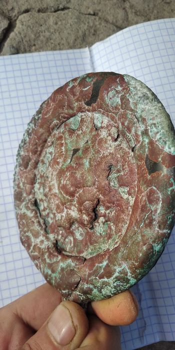 Зеркало Сармати Скіфи