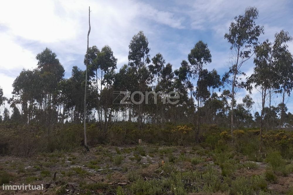 Terreno Rustico com 12580m2