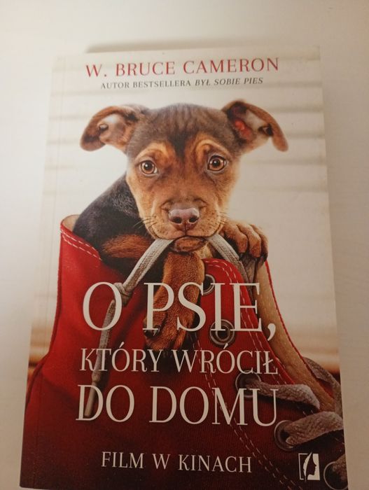 O psie, który wrócił do domu Bruce Cameron