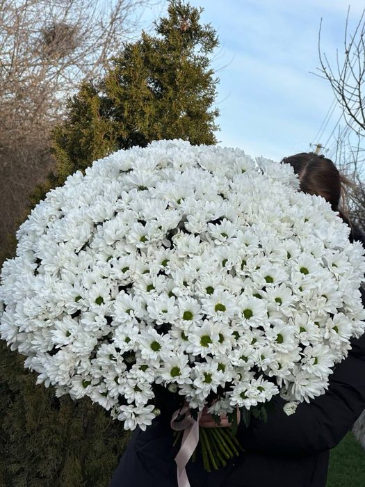 Цветы (букеты)