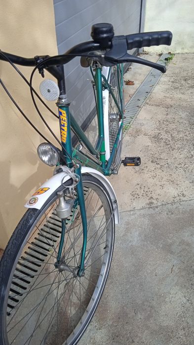 Bicicleta tipo Pasteleira