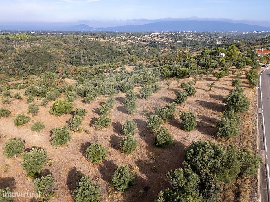 Terreno  para venda