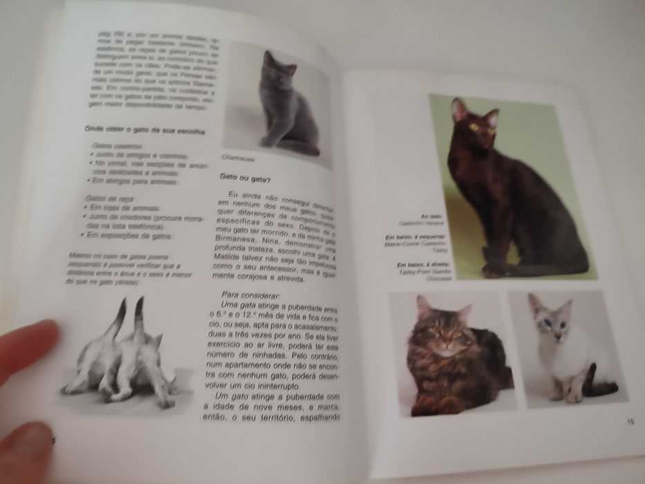 Vendo livro " Novo guia dos gatos" de katrin Behrend