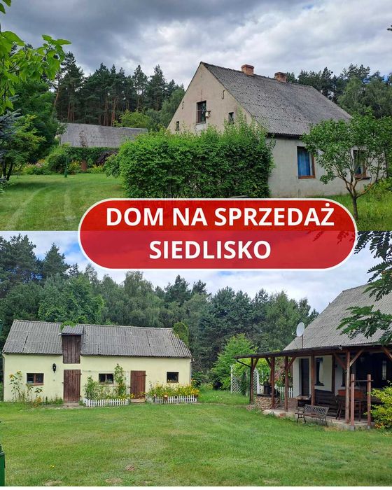 DOM RUSTYKALNY w Borach Tucholskich - dawne gospodarstwo