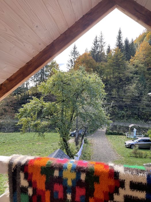 Здам будиночок в Карпатах