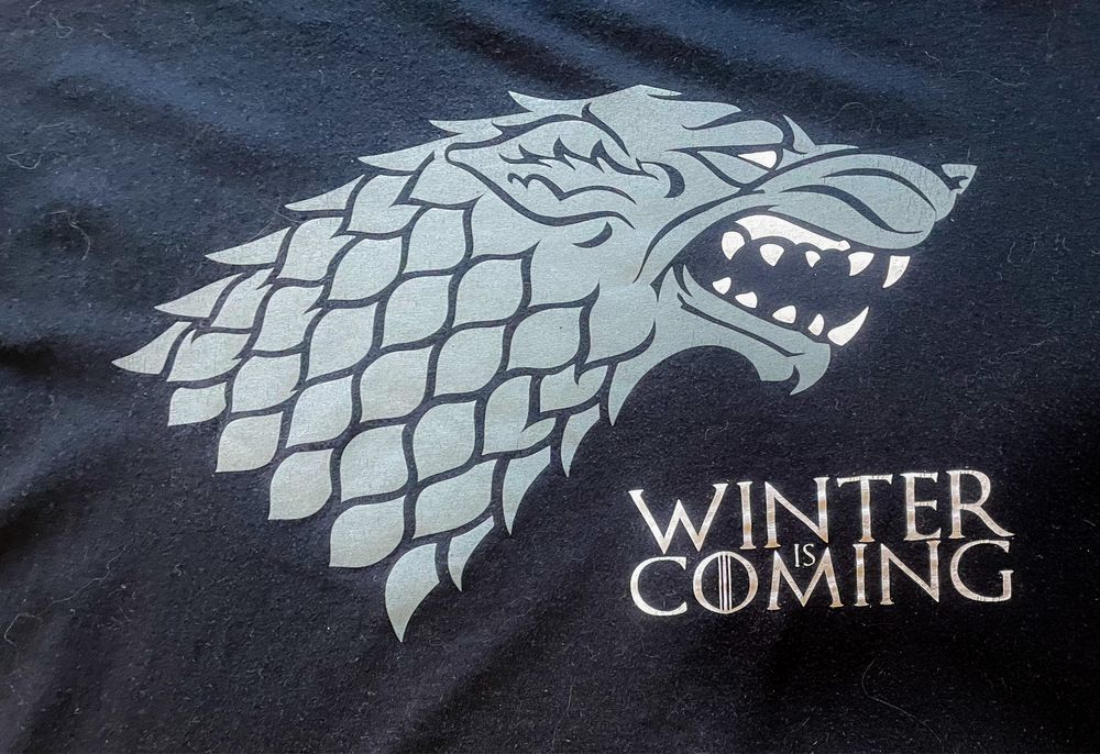 T-shirt Game of Thrones Winter is Coming