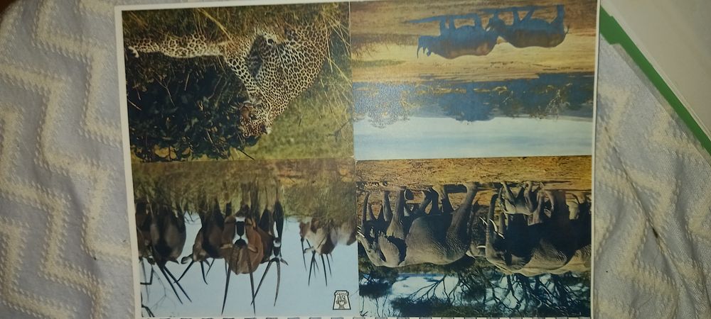 Recordações dos ratinhos do capim