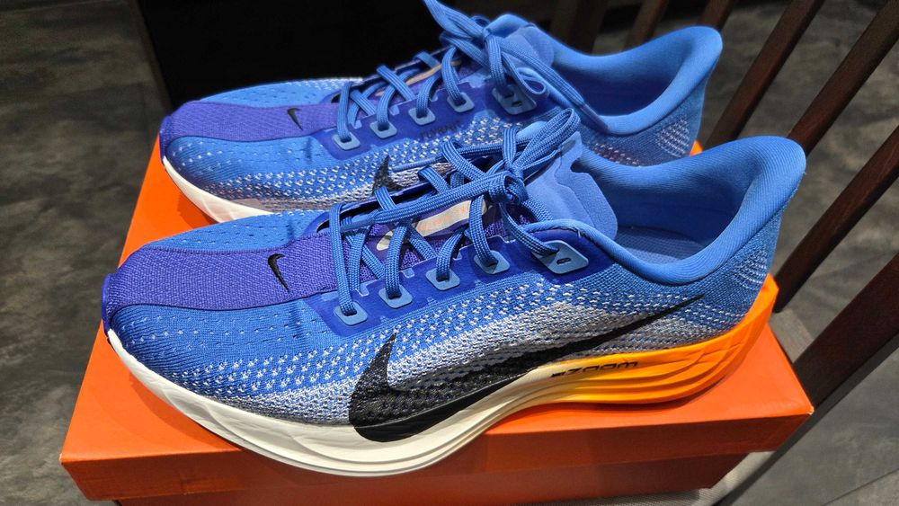 Nike Pegasus Plus