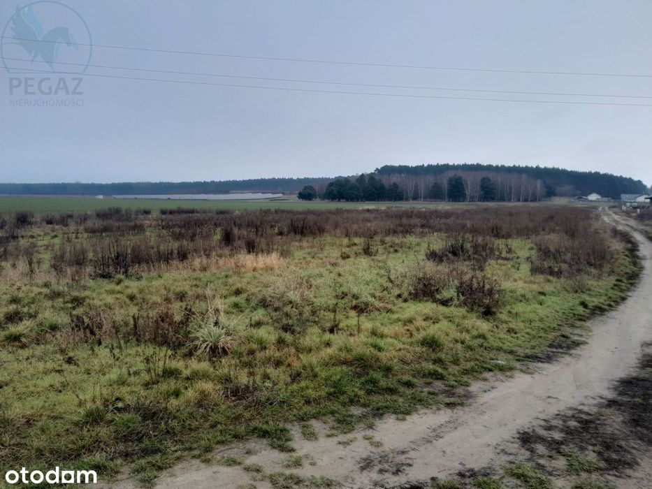 Działka budowlana Kuźnik Ostatnia