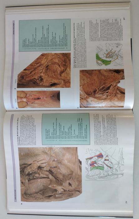 Atlas Anatomia Humana - 2 livros novos em Espanhol