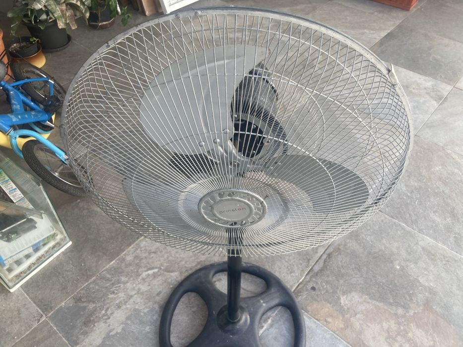 Ventoinha pe alto