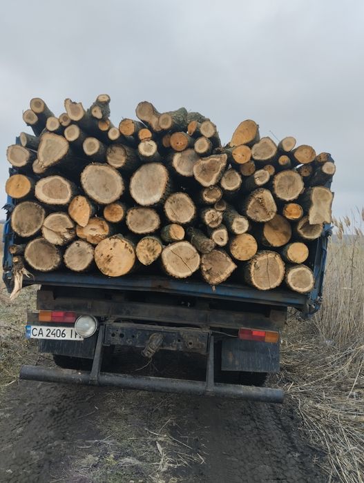 Продам дрова твёрдых/мешаных пород