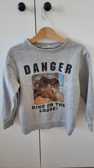 Bluza szara dinozaur 110/116 h&m