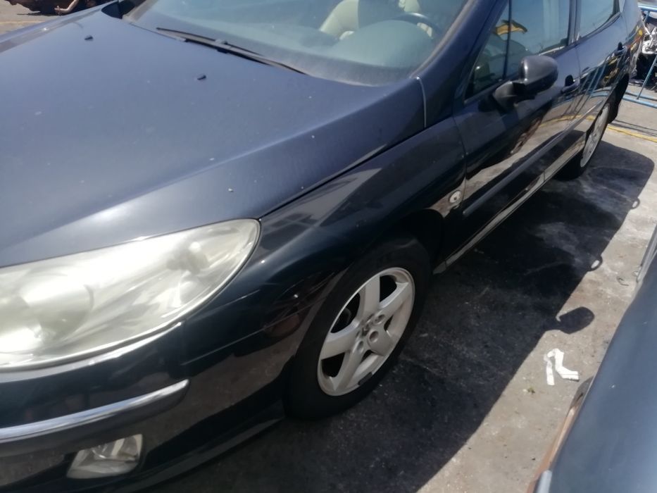 Peças para Peugeot 106/206/207/307/308/406/407/1007/4007/5008/e outros