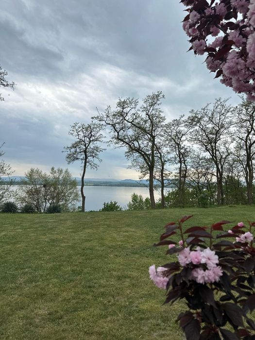 Domki nad Jeziorem Nyskim Głębinów