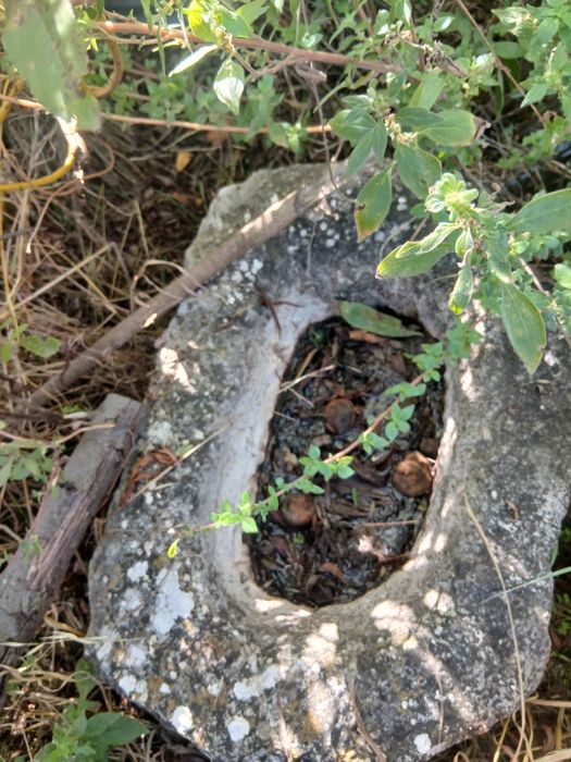 Pias de pedra antigas em bom estado calon