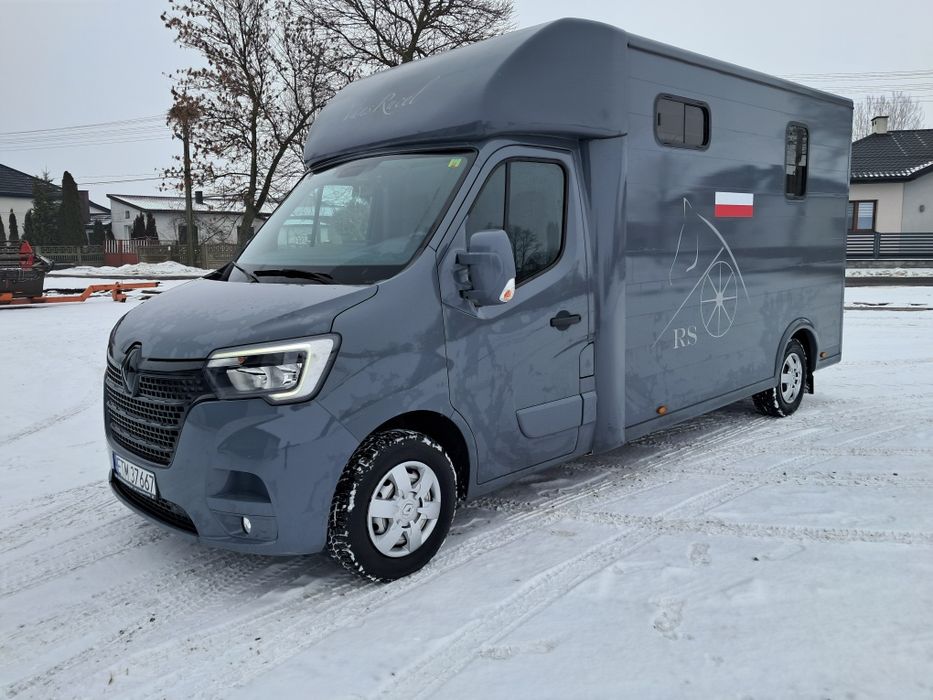 Renault master movano koniowóz zabudowa ogierowa