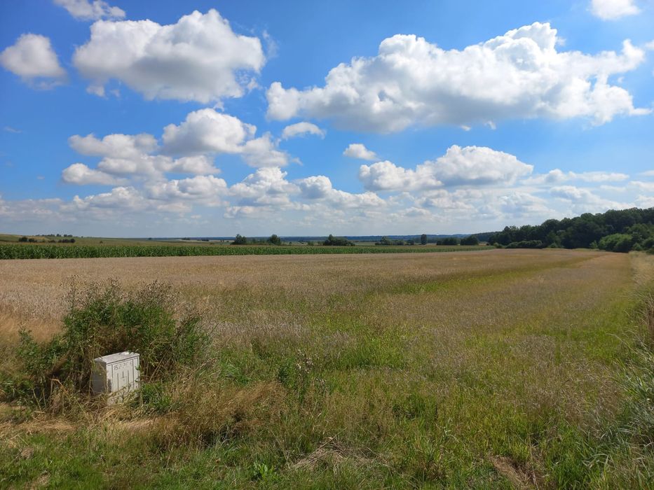 Działka budowlana.