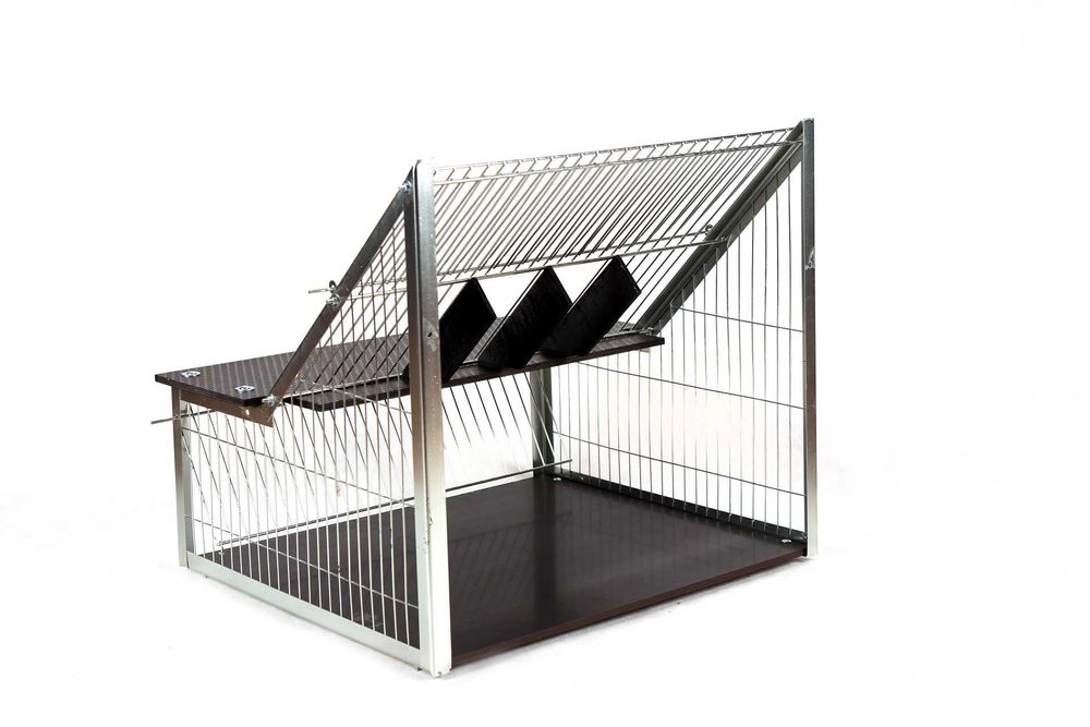 Wlot belgijski dla gołębi z podłogą 60cm okazja PROMOCJA