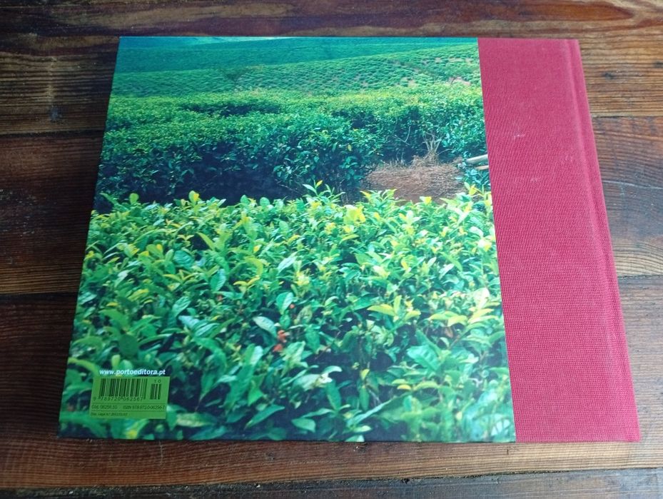 Moçambique de Hoje / Mozambique Today