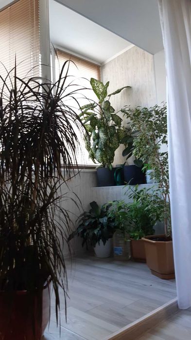 2 кім Центр Податкова