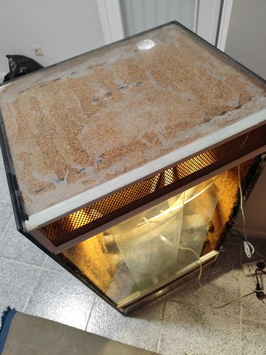 Terrário com cabo de aquecimento e lâmpada