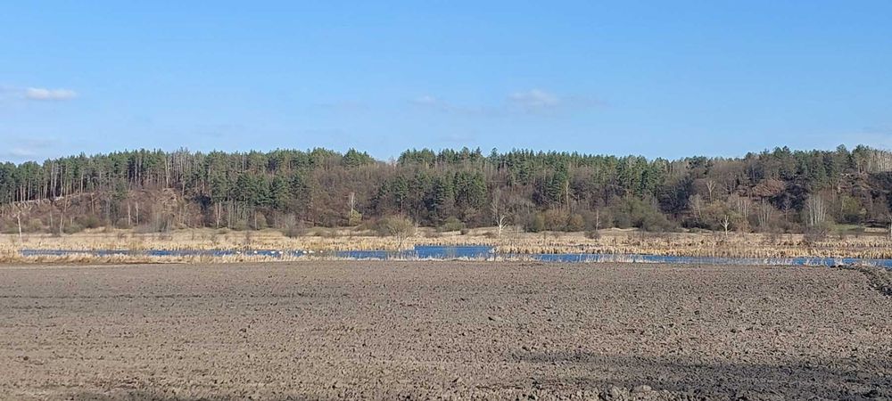 Комерційна пропозиція!  Синяк, 7.6 га, ОСГ.  Біля води