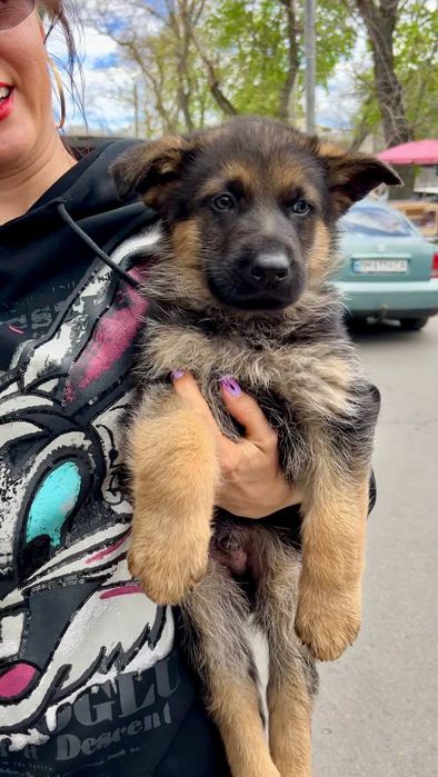 Немцы девочки Одесса