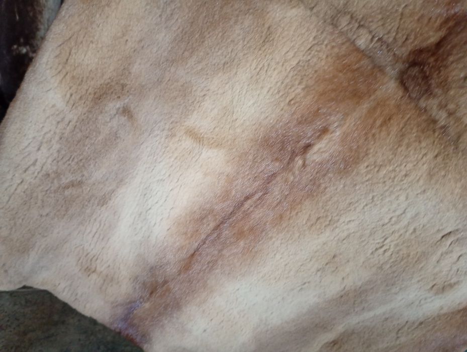 Saga furs.   Дл 105см. Норковая шуба с соболем. Натуральная шуба