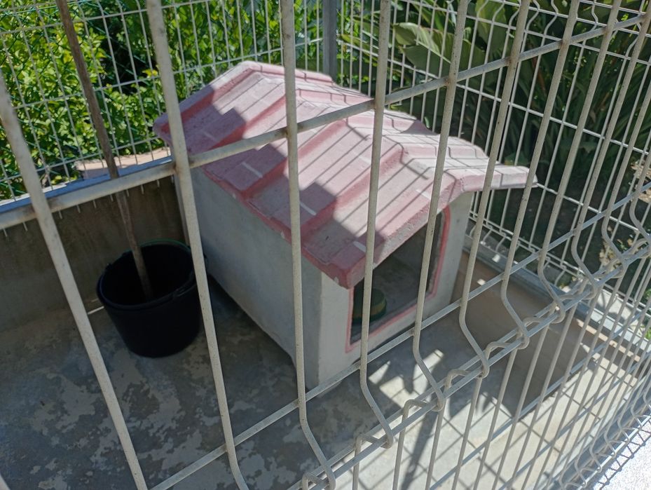 2 casotas de cão