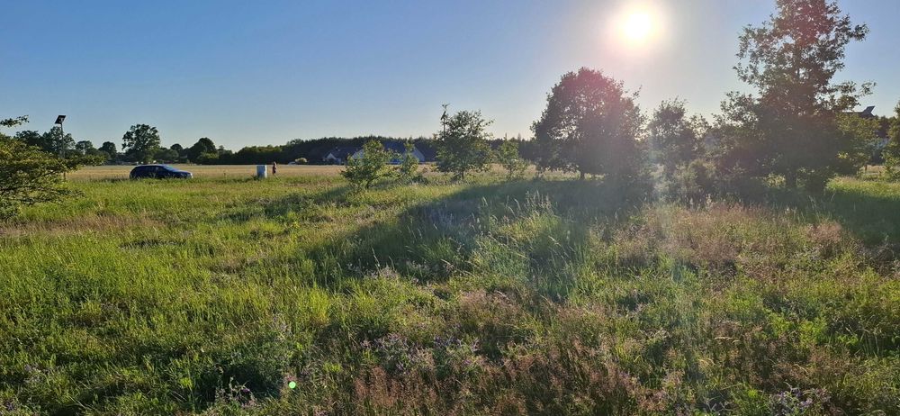 1300 m2 Grzymalin