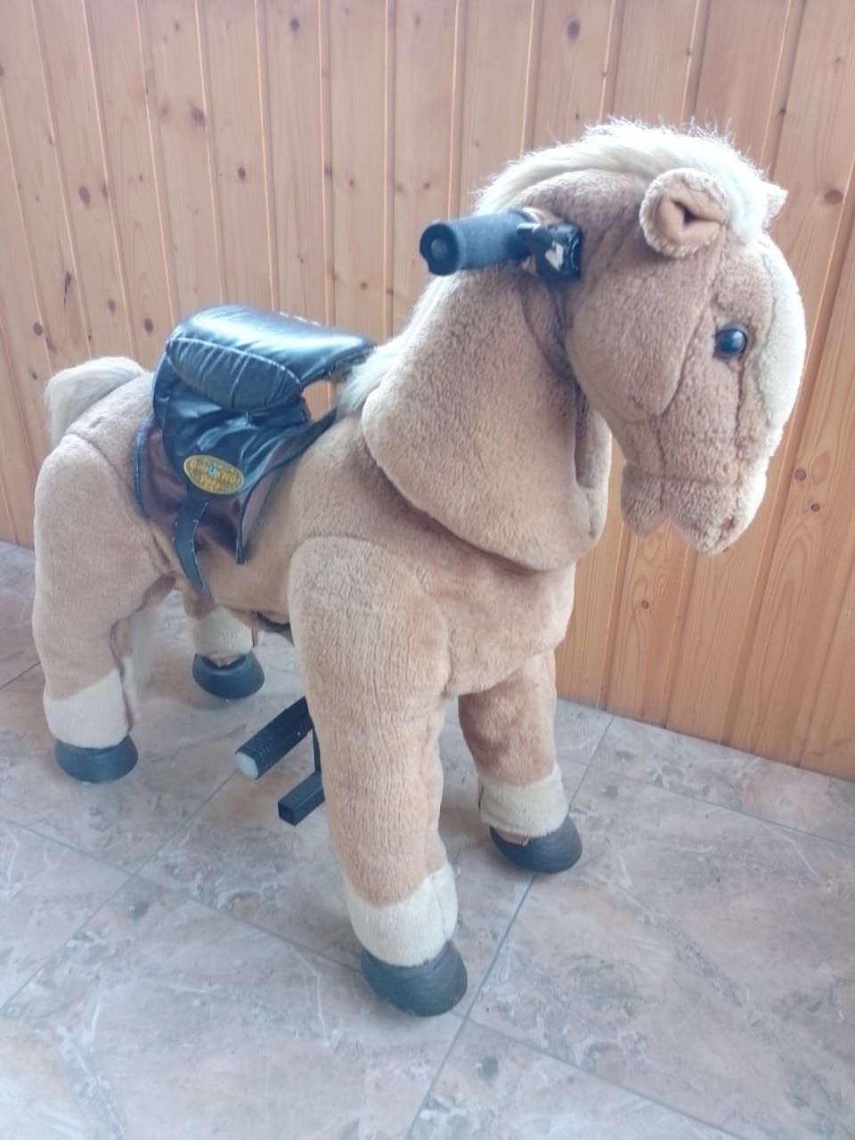 Ponycycle olx on sale