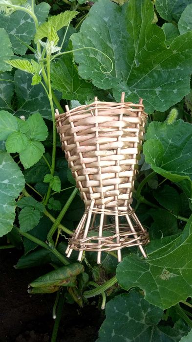 коробочки для подарков